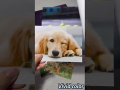 エプソン/キャノン/HP ワイドフォーマットプリンタ用のプレミアム・ルスター フォトペーパーロール